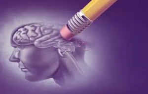 Maintain Your Brain: Everything You Need to Know About Alzheimer's Disease