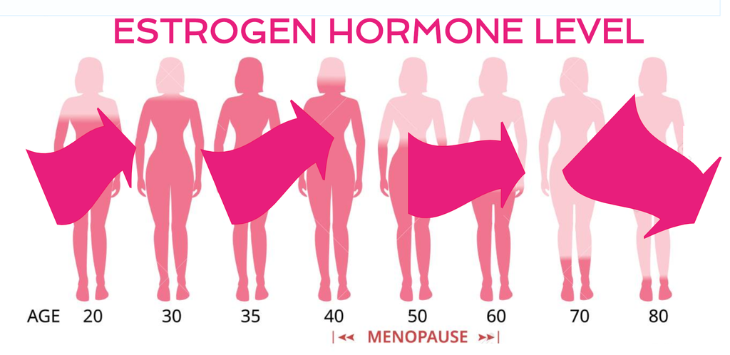 MORE BLOG POSTS – Tagged "Estrogen" – Page 2 – The Edwards Edge